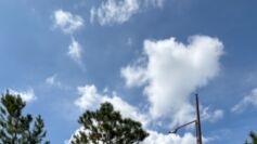 Banner 2