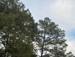 Banner 2